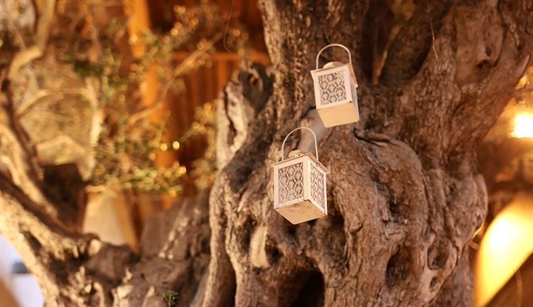 הלוקיישן ששובה את ליבם של המאורסים הצעירים 12