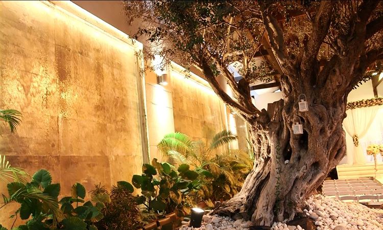 הלוקיישן ששובה את ליבם של המאורסים הצעירים 13