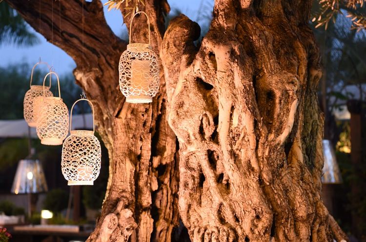 הלוקיישן ששובה את ליבם של המאורסים הצעירים 3