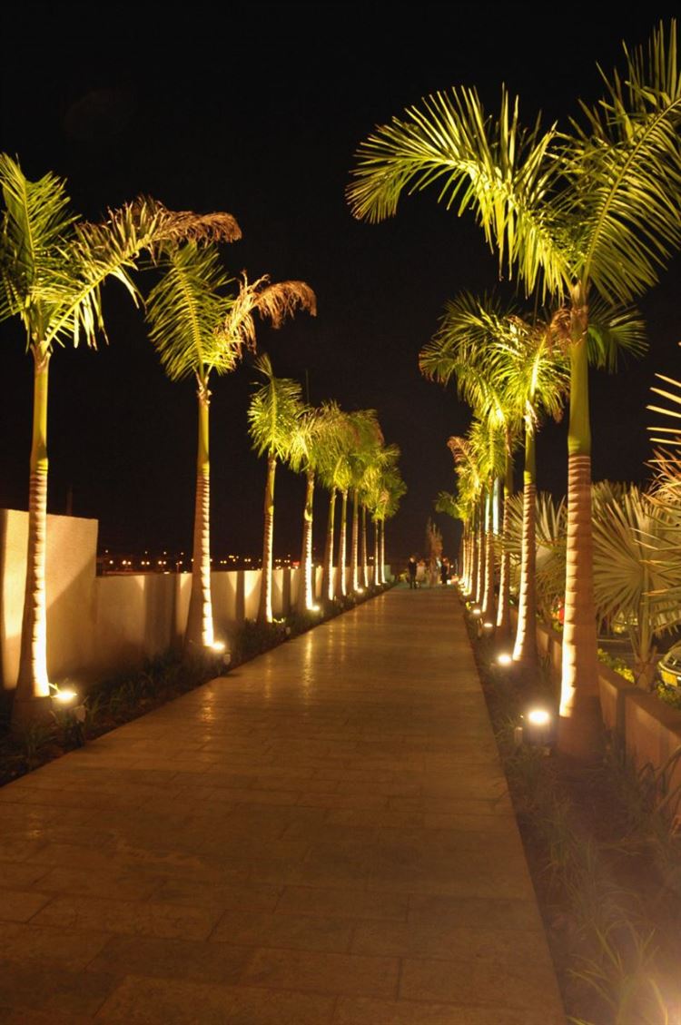 הלוקיישן ששובה את ליבם של המאורסים הצעירים 5