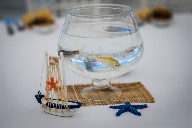 לא יאומן: הדייט הראשון שנמשך שבוע שלם 35