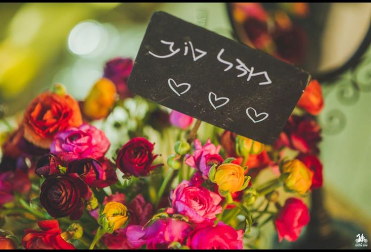 במקום הכי לא רומנטי: סיפור אהבה 15