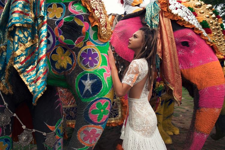 מסע אחר: גם ווג הגיעו להודו 19