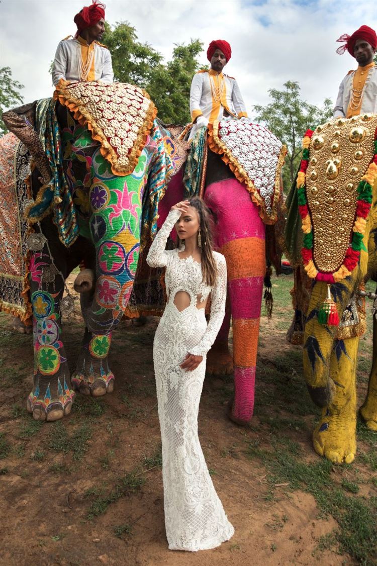 מסע אחר: גם ווג הגיעו להודו 22