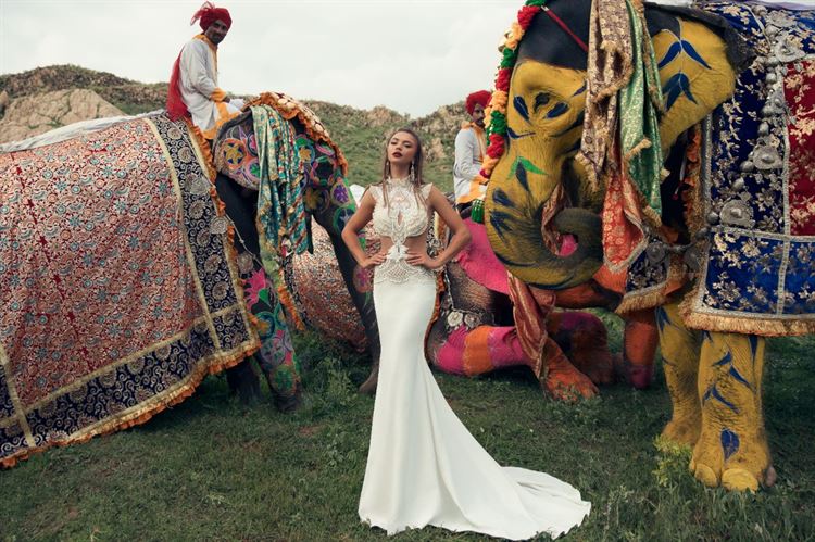 מסע אחר: גם ווג הגיעו להודו 24