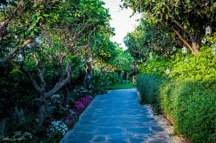 הכניסה החלומית של גן האירועים אלכסנדר (צילום: יחצ)