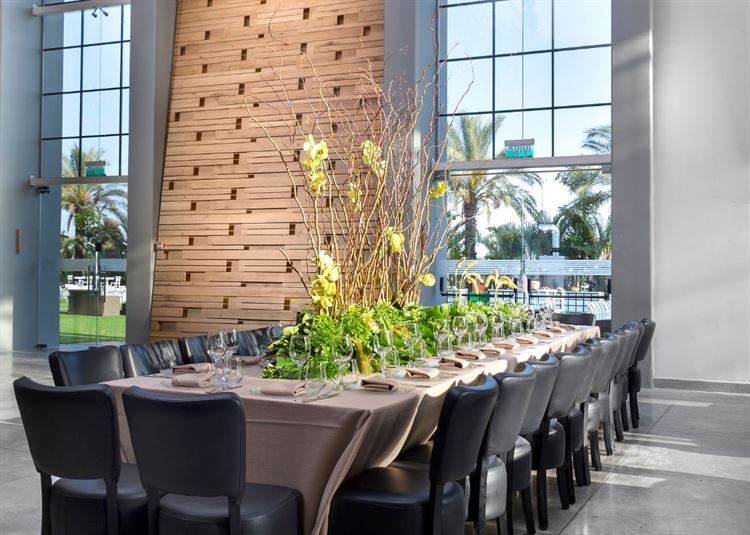 משהו התחדש פה? נסיה מציגה עולם ומלואו 10