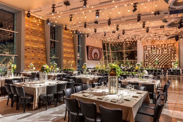 משהו התחדש פה? נסיה מציגה עולם ומלואו 13