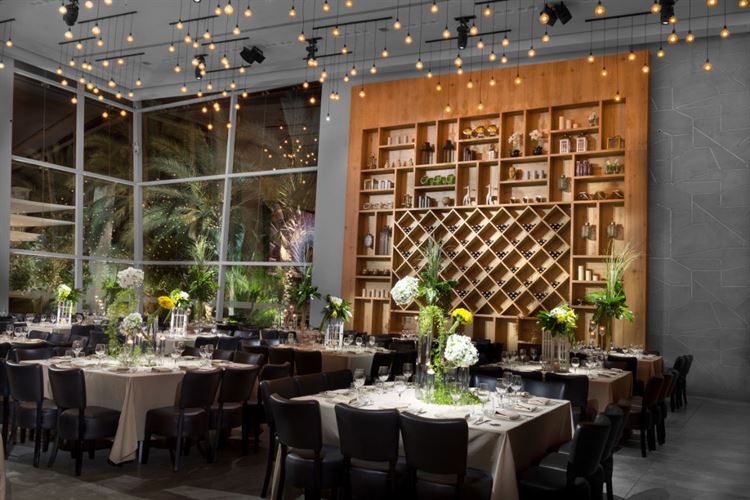 משהו התחדש פה? נסיה מציגה עולם ומלואו 14