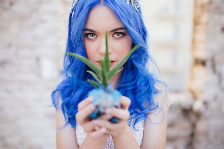 צובעים את סוכות: נואלי צבעונית מתמיד 18