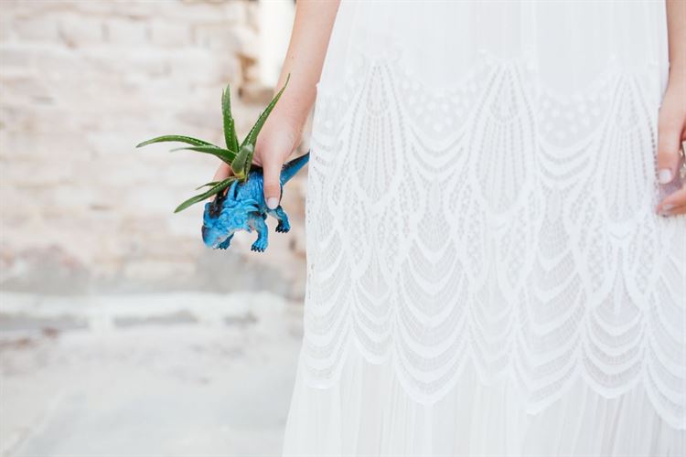 צובעים את סוכות: נואלי צבעונית מתמיד 19