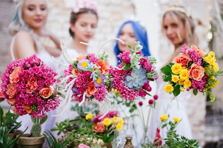 צובעים את סוכות: נואלי צבעונית מתמיד 20