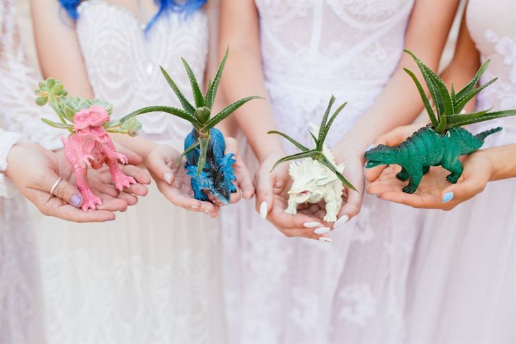 צובעים את סוכות: נואלי צבעונית מתמיד 22