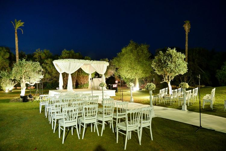 התמונה בפייסבוק, הפנצ'ר בגלגל והצעת הנישואים 11