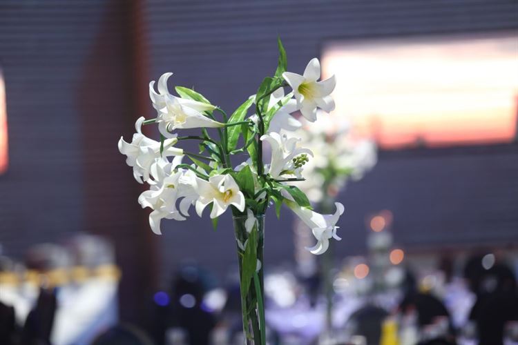 התמונה בפייסבוק, הפנצ'ר בגלגל והצעת הנישואים 13