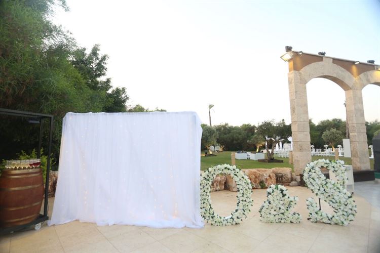 התמונה בפייסבוק, הפנצ'ר בגלגל והצעת הנישואים 14