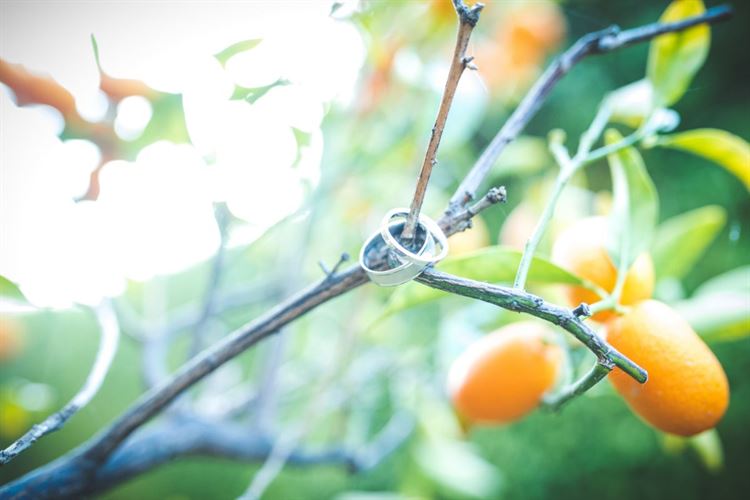 לא כמו כולם: הזוג שהחליט להיות מיוחד 2