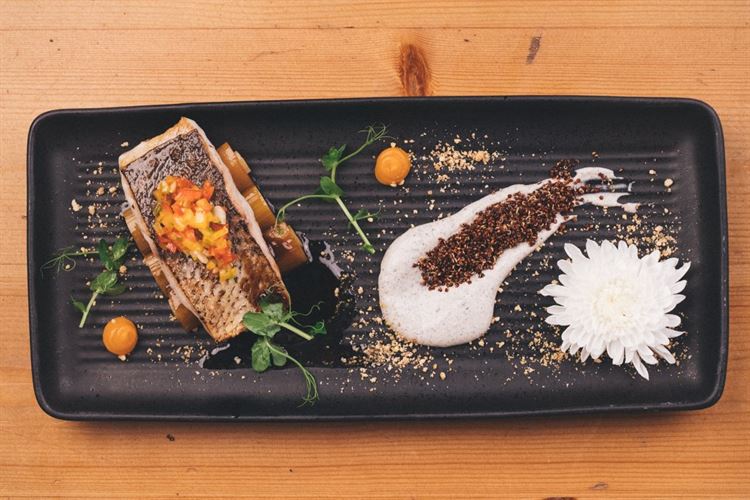 איך בוחרים תפריט מושלם לחתונה? 4