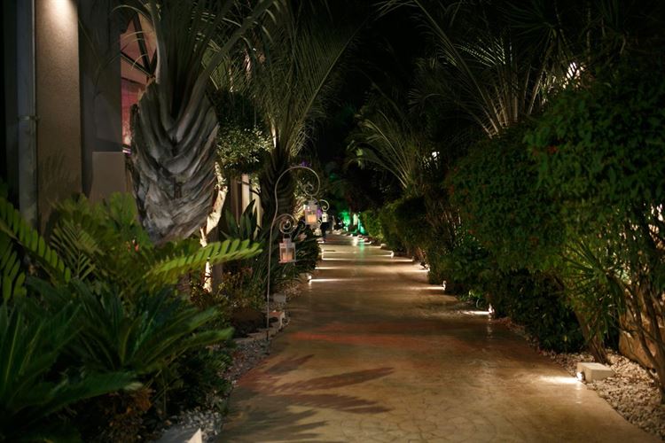 הזמנה לחתונה או דרכון? חתונה שוברת ציפיות 19