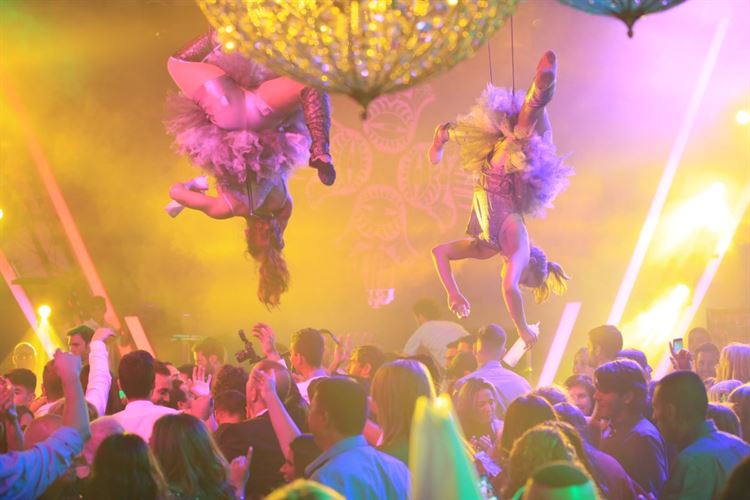 קרקס? פסטיבל? או שזאת בכלל חתונה? 24