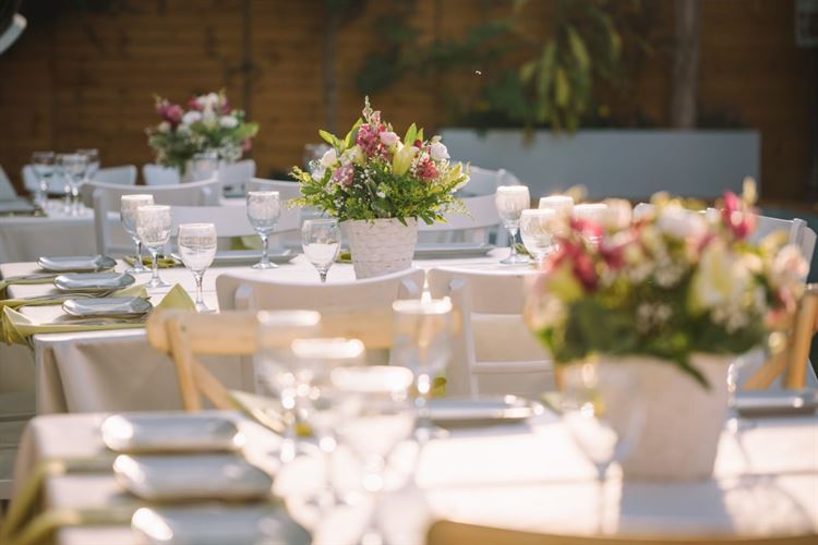 גן הגפן - גן האירועים שכובש את תל אביב 6