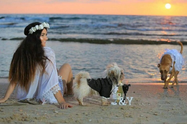 קבלו אותם: אהבה על ספסל הלימודים 2