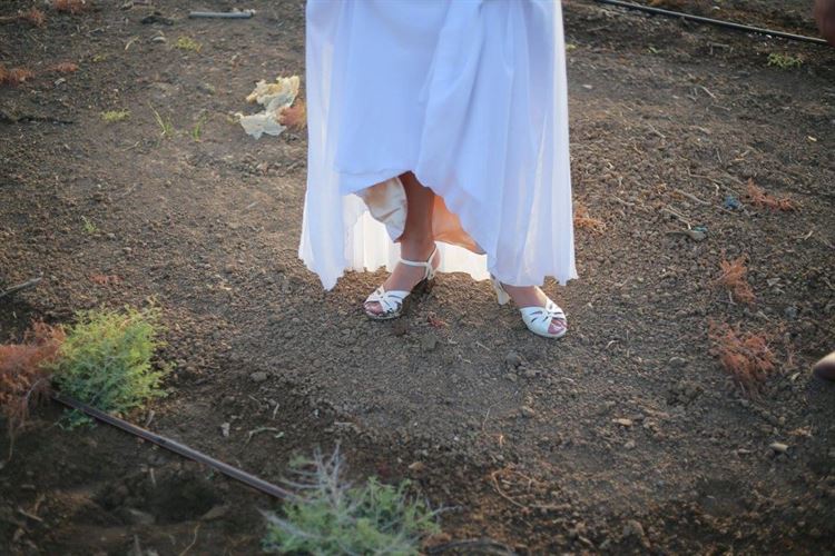 בלי בושה: הכלה שהתחילה את הכל 7