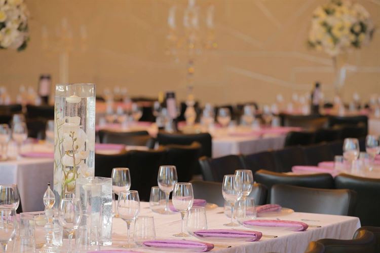 בלי בושה: הכלה שהתחילה את הכל 17