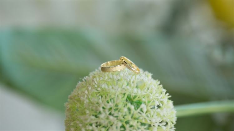 לא תאמינו מה הבחורה שבתמונה קיבלה לכבוד סיום הסמסטר 9