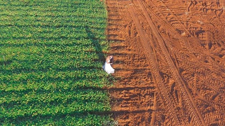 לא תאמינו מה הבחורה שבתמונה קיבלה לכבוד סיום הסמסטר 12