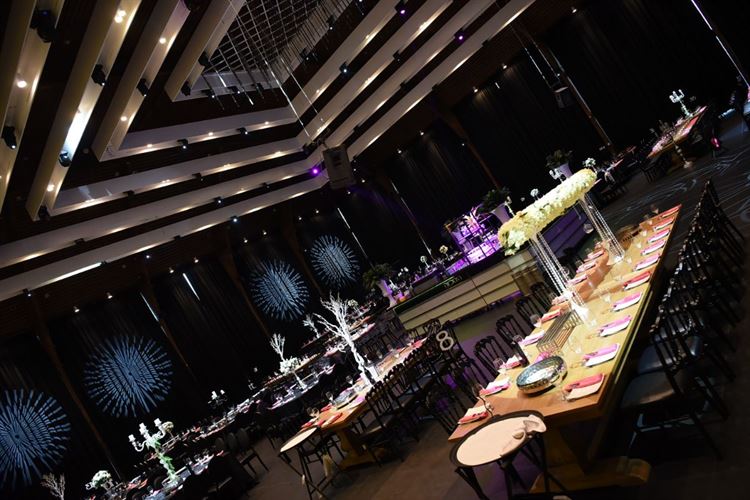 הרי את מוארת לי: חתונת הלדים הכי מקורית שראינו 35