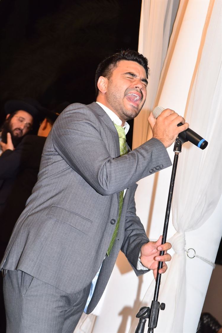 הרי את מוארת לי: חתונת הלדים הכי מקורית שראינו 27