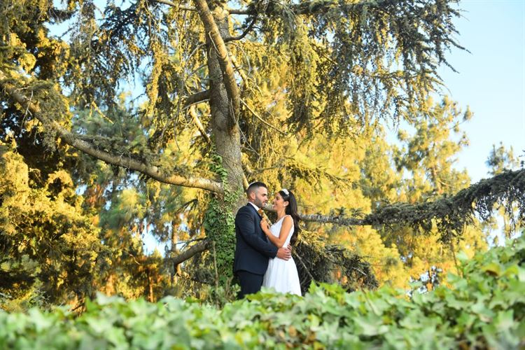 צירופי מקרים שהובילו לסיפור אהבה 5