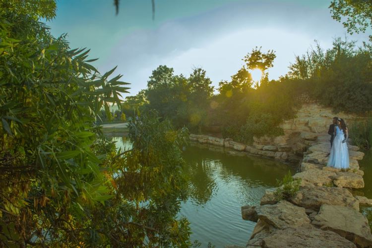 צירופי מקרים שהובילו לסיפור אהבה 8