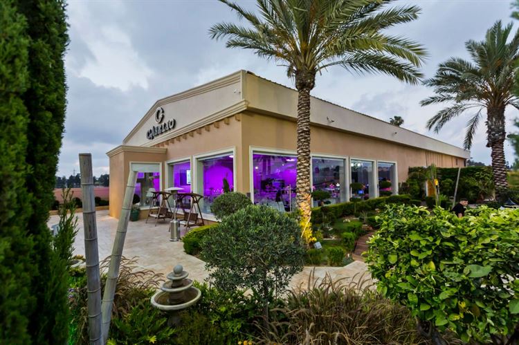 מתחתנים בחורף? מזל טוב, חסכתם לעצמכם 5