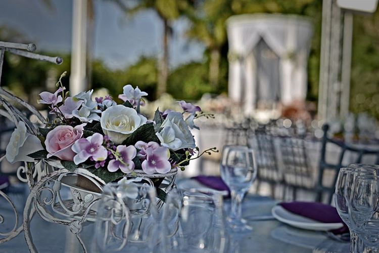 זה המקום שכל זוג מאורס חייב להגיע אליו 5