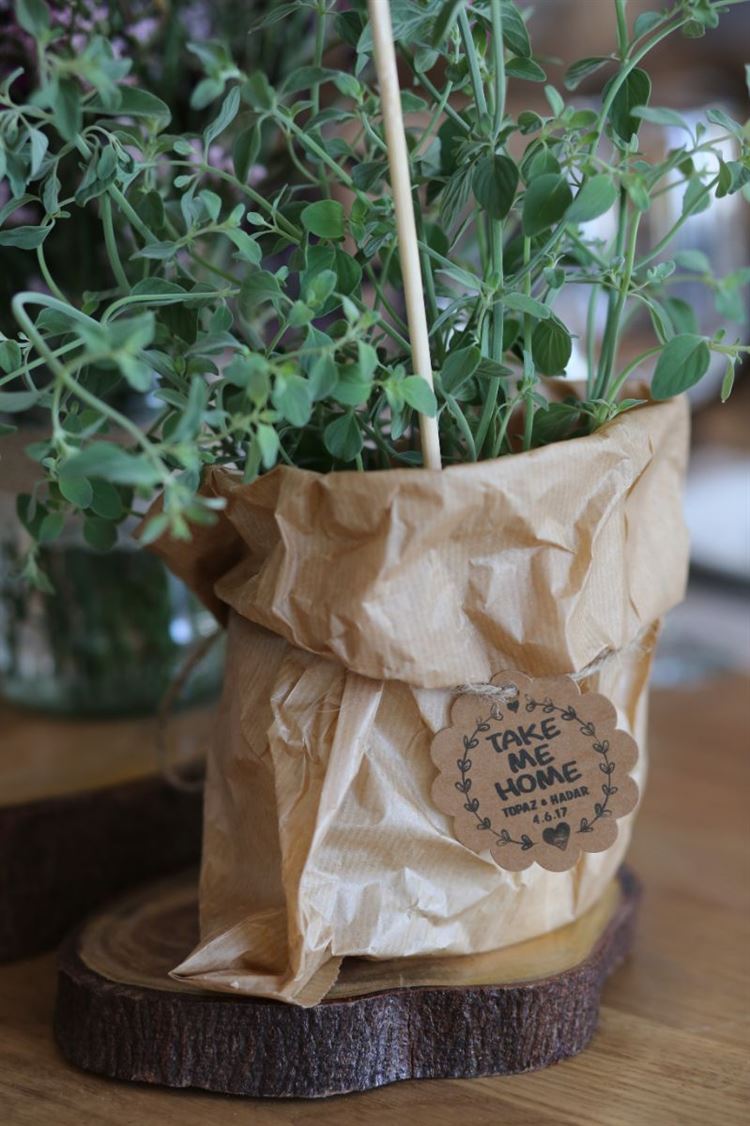 הכירו בברזיל והמשיכו לחתונה בעיצוב אישי 13