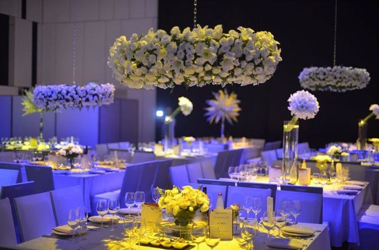 הכל קורה כאן, ונציה (צילום: יחצ)