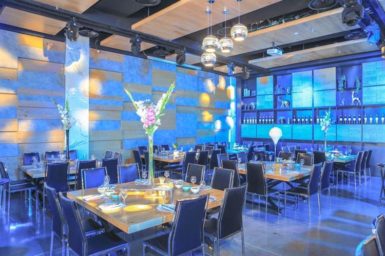 חינה בשיא הסטייל, האוס (צילום:יחצ)