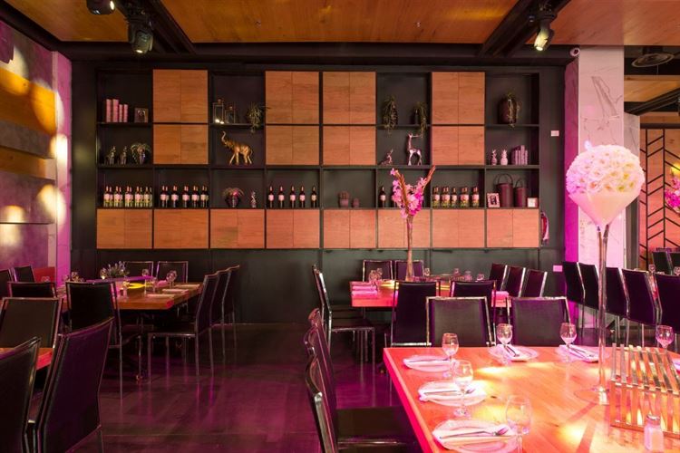 עד שכל האורחים יפלו מהרגליים (צילום:יחצ)