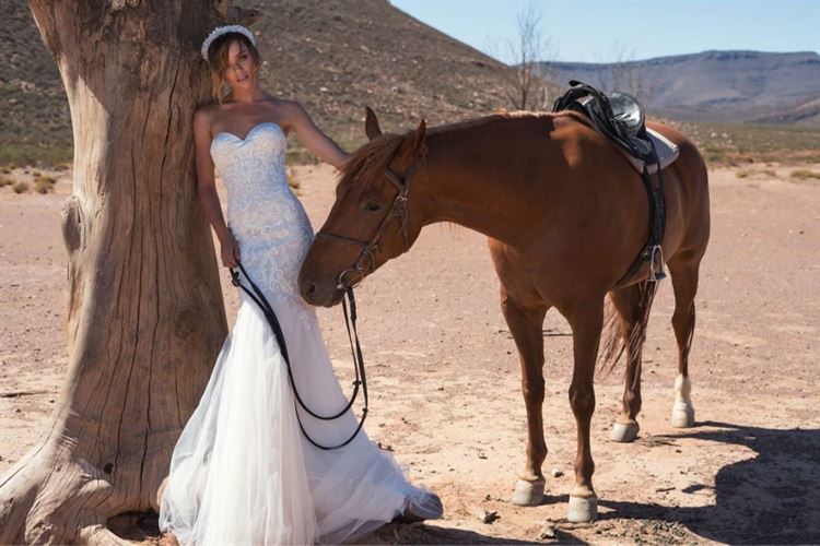 אפריקה זה כאן! עצרו הכל ותסתכלו על התמונות הבאות 13