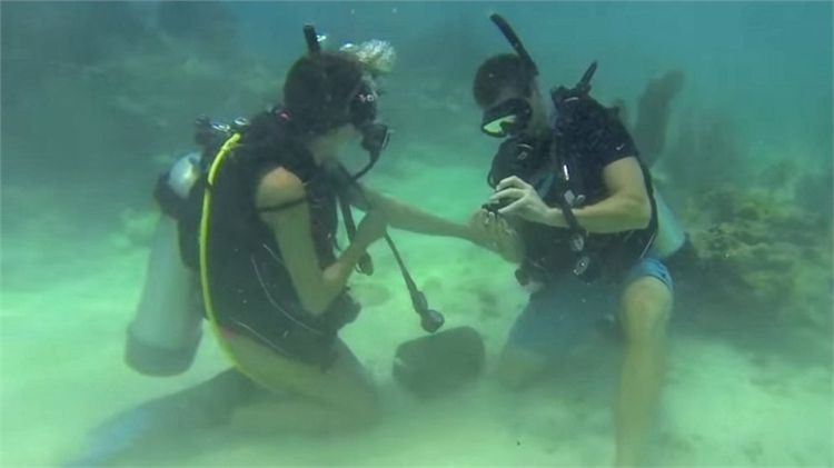 7 רעיונות מקוריים להצעת נישואין מוצלחת 5