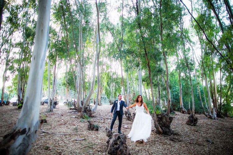 צילומים מרהיבים וקסומים (צילום: רן שיינברגר)