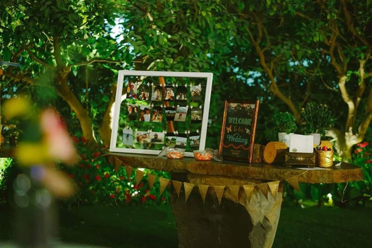 ככה נראה גן האירועים אלכסנדר הקסום (צילום: רן שיינברגר)