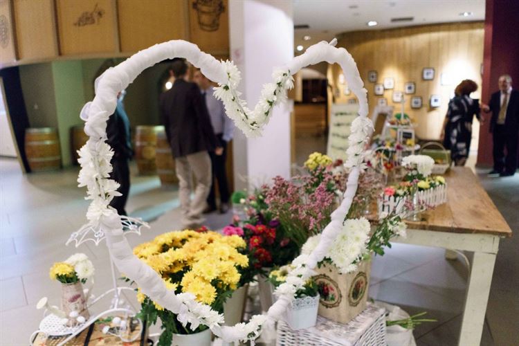 מיהי השחקנית שקיבלה הצעת נישואים מפתיעה במיוחד? 9