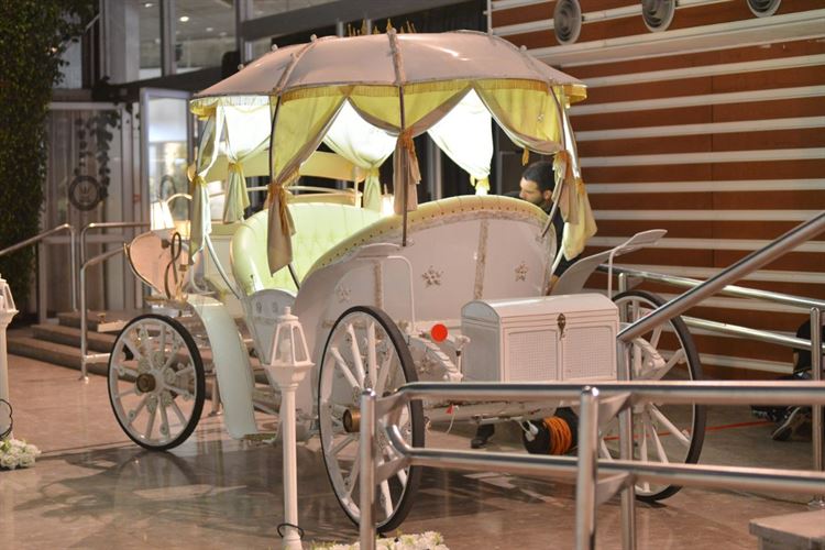 הכרכרה מוכנה, החתונה של דניאל חיים ודור גרושקביץ (צילום: שלומי ביטון)