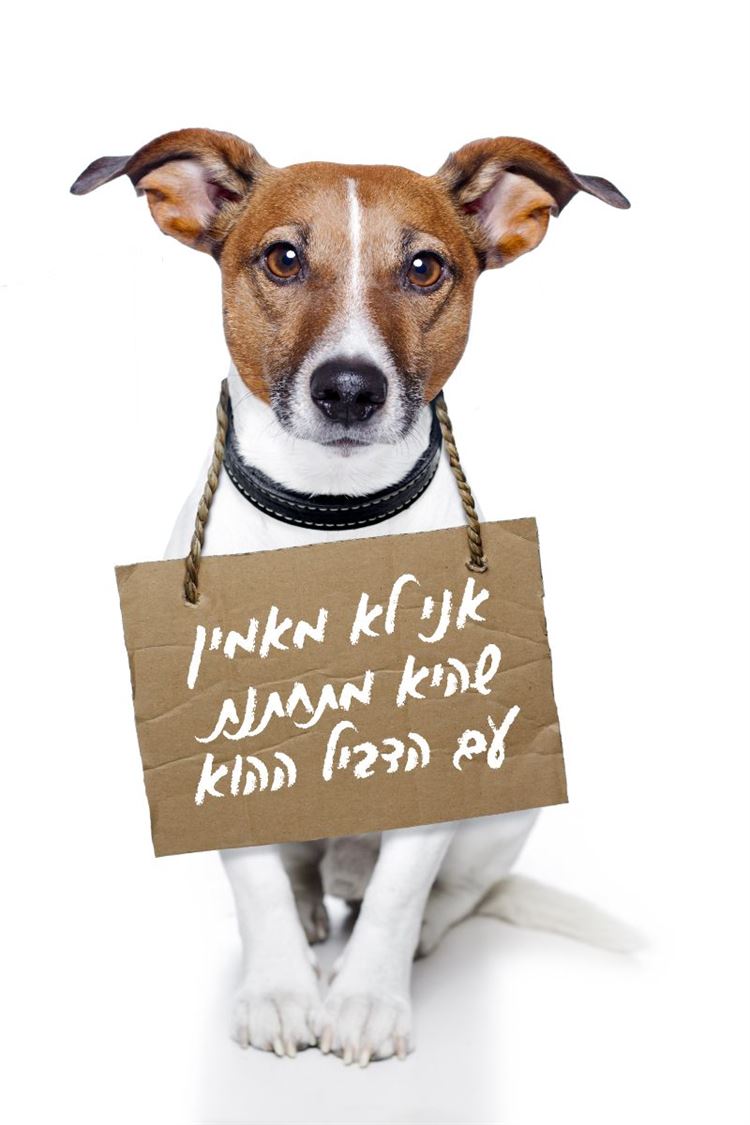 דרכים מקוריות להודיע לעולם שהתארסתם 3