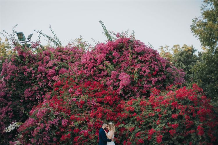 מה קורה בחתונה כשהחתן צלם והכלה מאפרת? 11