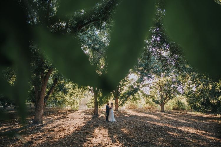מה קורה בחתונה כשהחתן צלם והכלה מאפרת? 13
