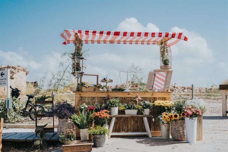 מה קורה בחתונה כשהחתן צלם והכלה מאפרת? 22